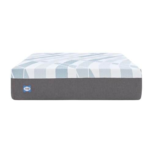 Sealy Dreamlife 14 Foam Mattress-In-A-Box Vs Hybrid