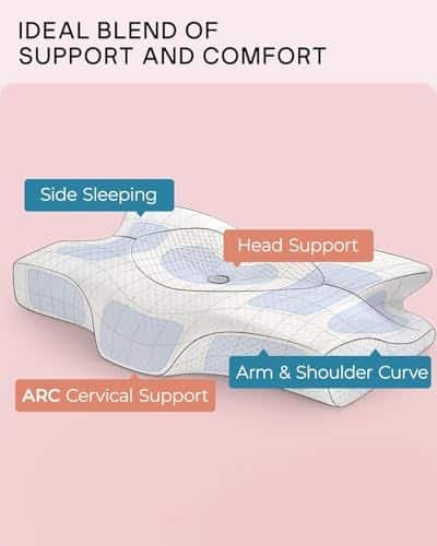 Elviros Cervical Memory Foam Vs Neck Pillow