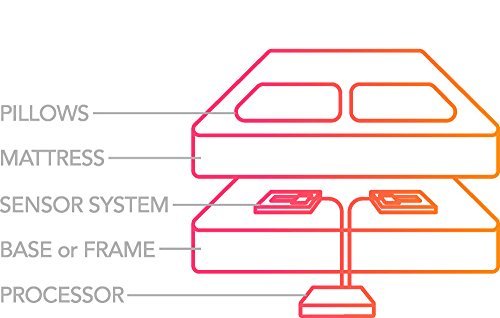 Sleep Tracker App Vs Wearable Device