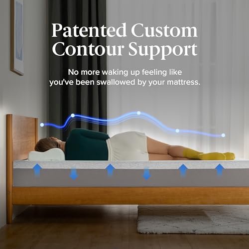 Zinus 8 Inch Ultima Vs Green Tea Mattress