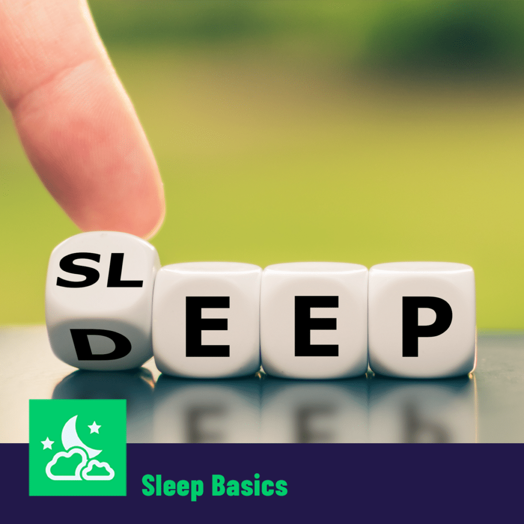 Sleep Basics Guide