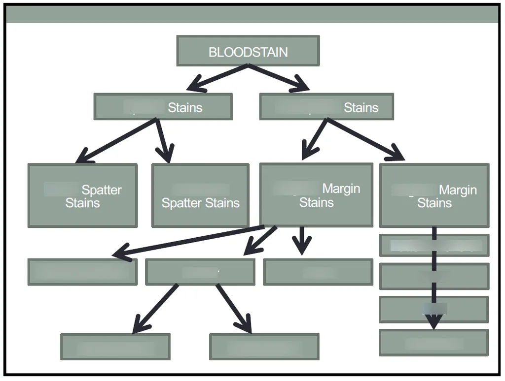 Bloodstain severity classification